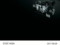 STEP WGN