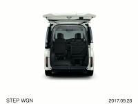 STEP WGN