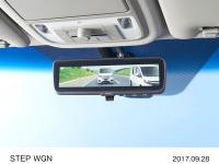STEP WGN