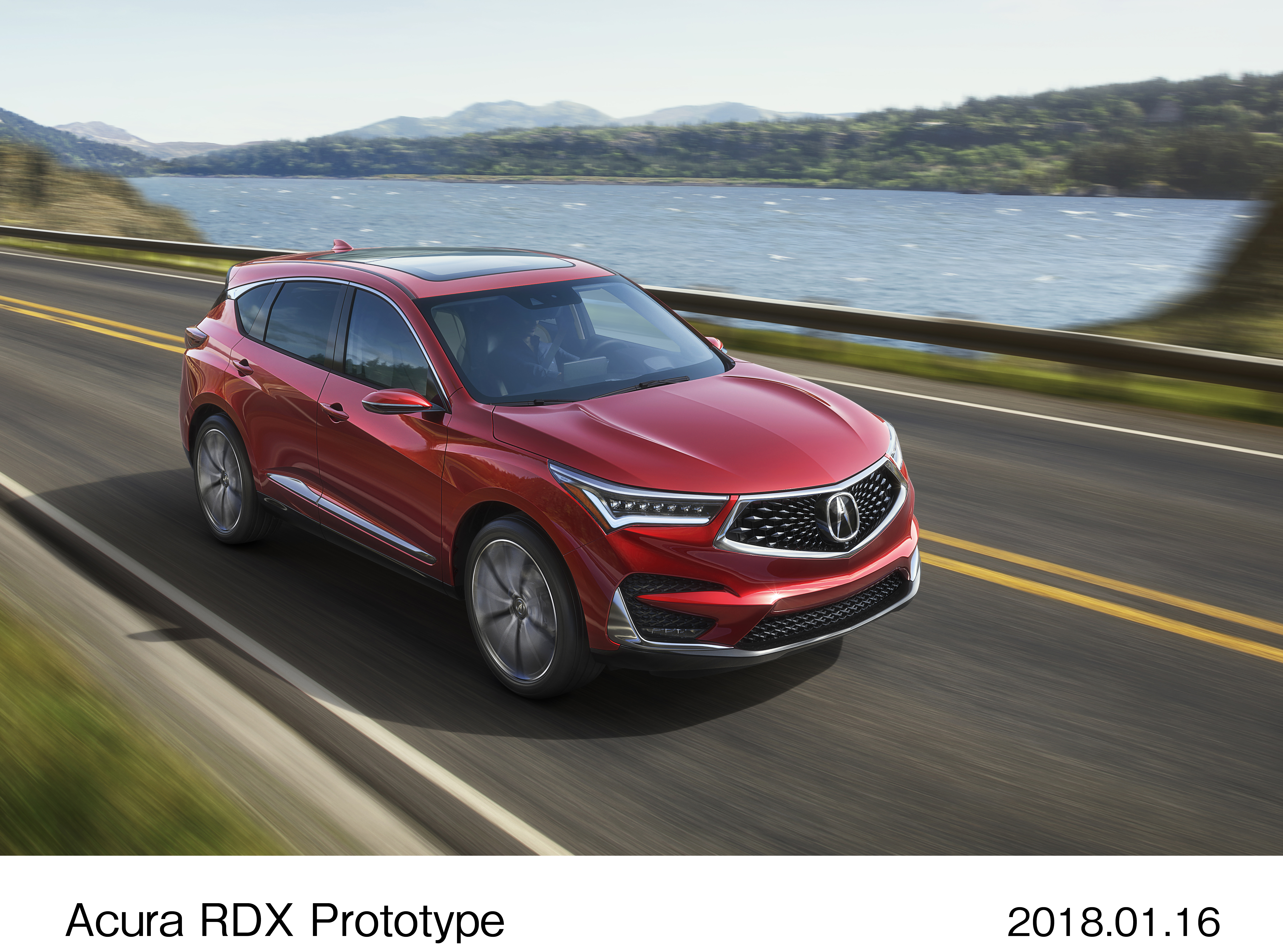 Image・Movie Download