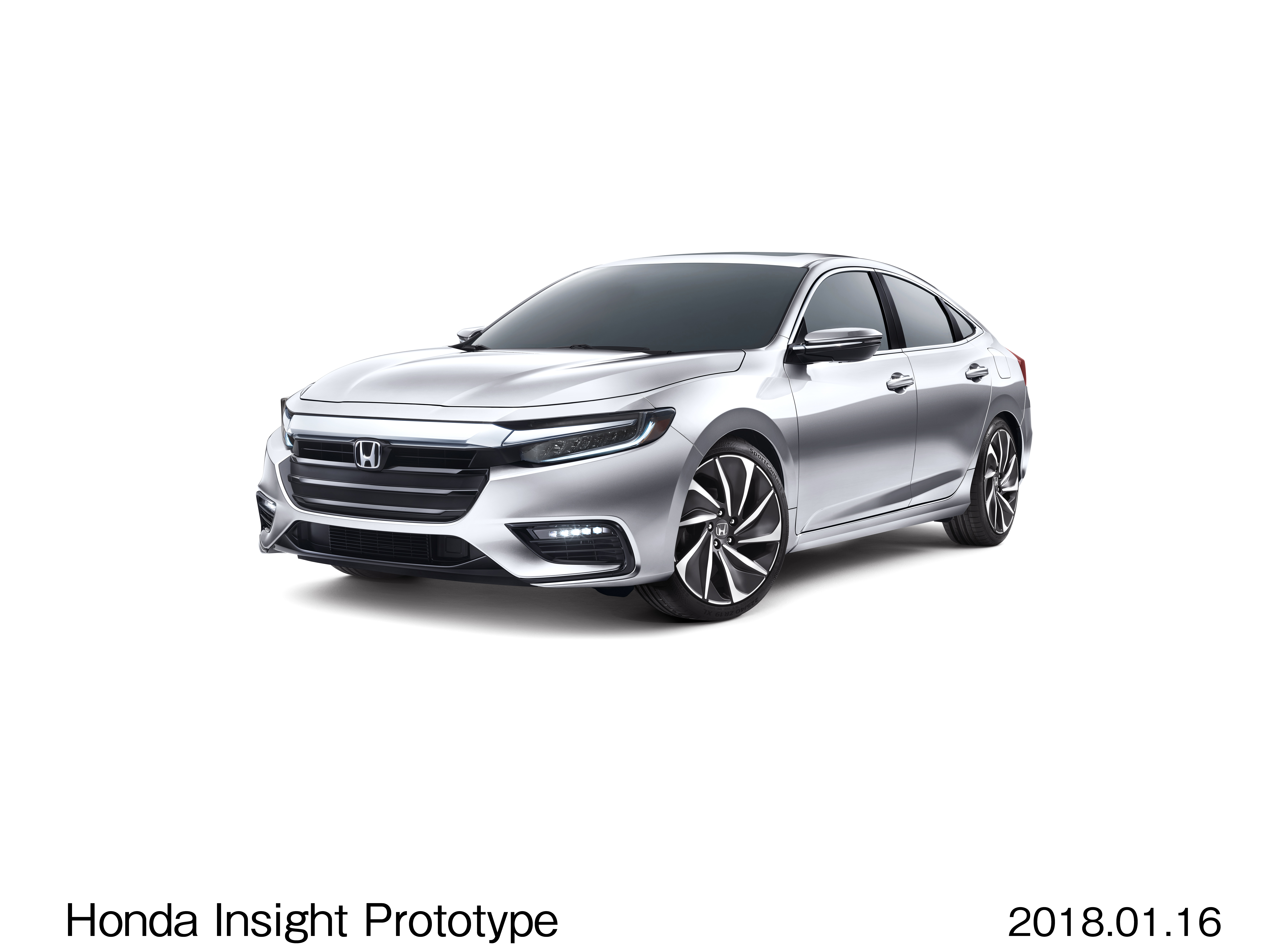 Image・Movie Download