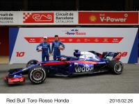Red Bull Toro Rosso Honda
