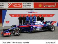 Red Bull Toro Rosso Honda