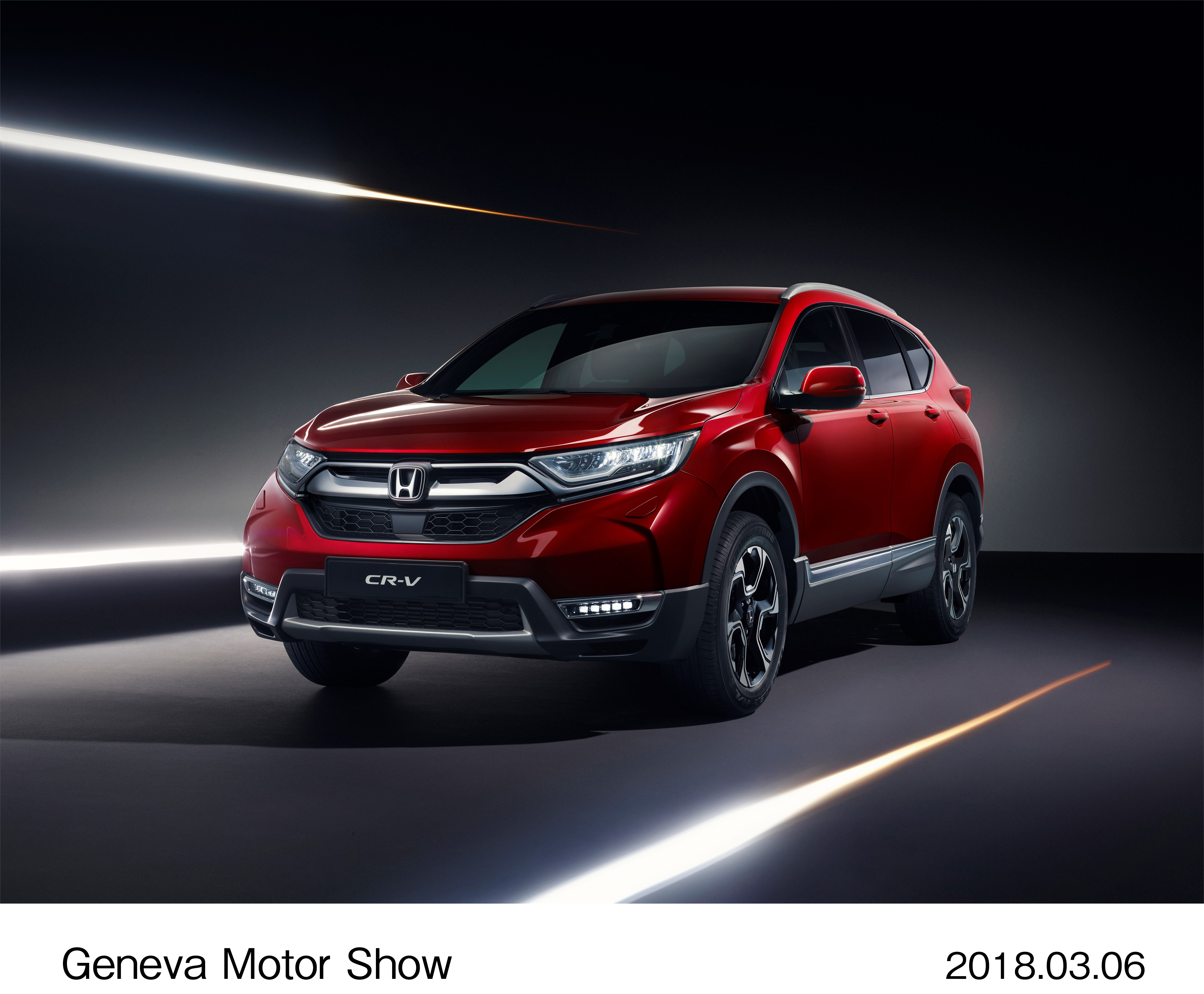 Image・Movie Download