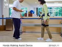 Honda Walking Assist Device with parallel bars