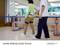 Honda Walking Assist Device with parallel bars