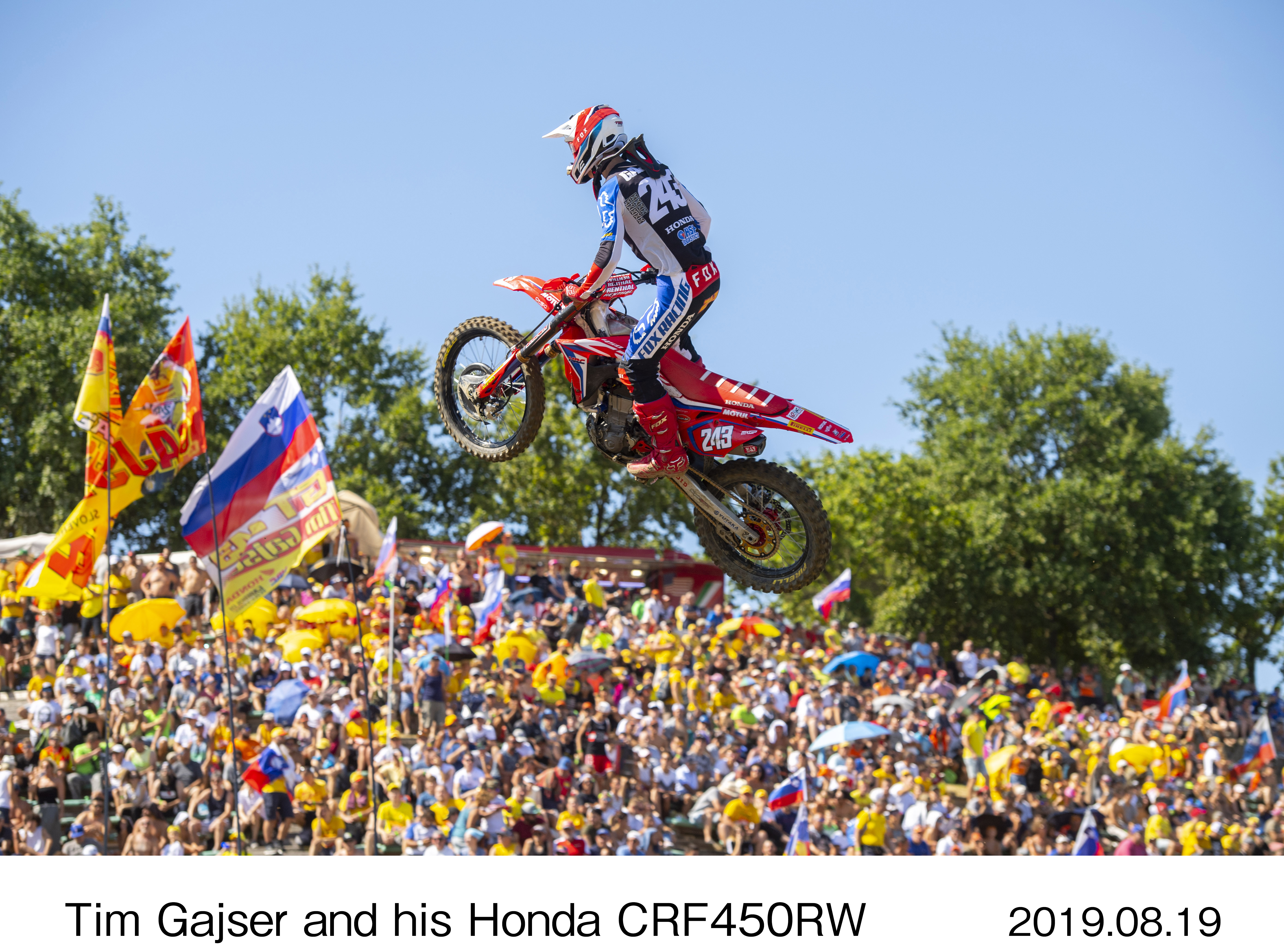 Image・Movie Download