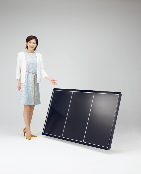 Thin film cell developed by Honda Engineering