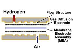 Cell cross-section (schematic)