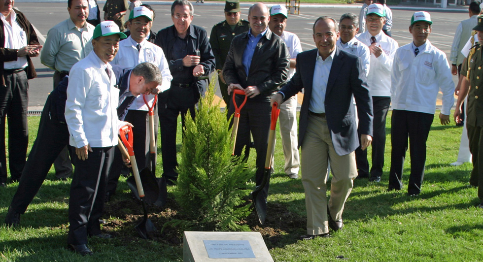 Planting of a commemoraitive tree