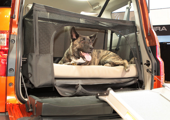 Dog-friendly Honda Element Concept Transforms SUV into Pet-hauling Champ