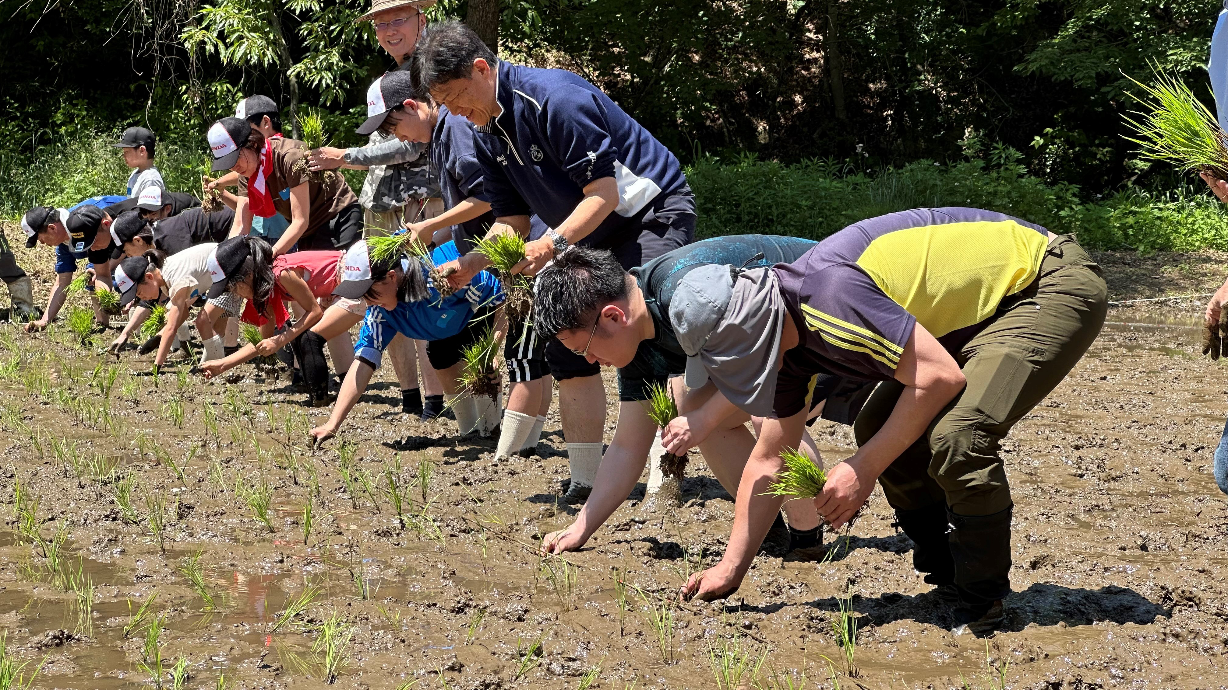 Local residents participated in rice planting event