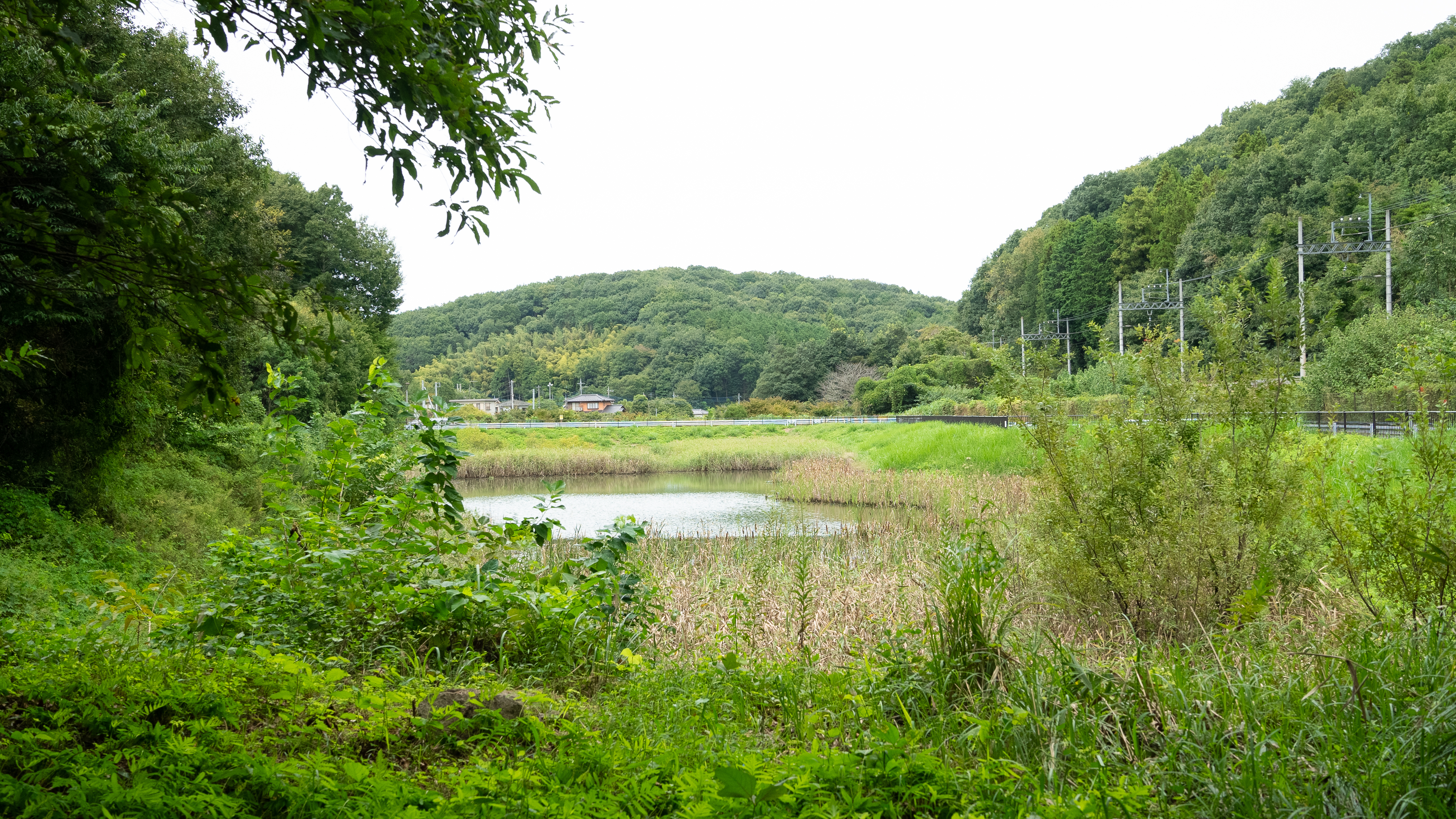 Reservoir within the site