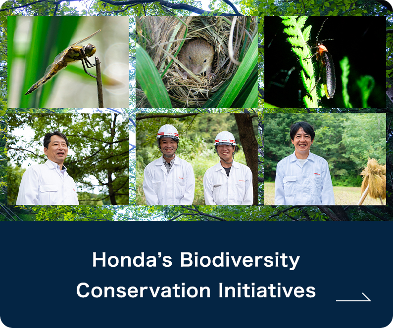 Honda’s Biodiversity Conservation Initiatives