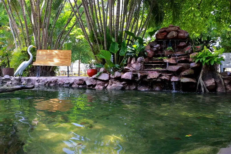 Treated water flows through fish ponds and returns to nature.