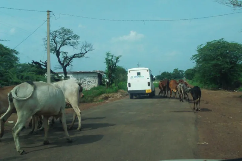 A typical rural drive