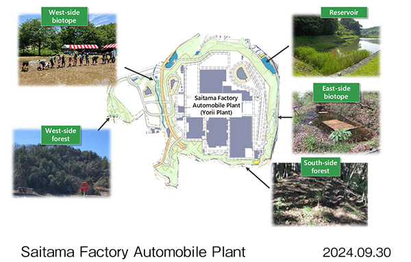 Biodiversity initiatives at Yorii Plant