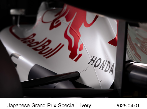 RB21 in tribute livery