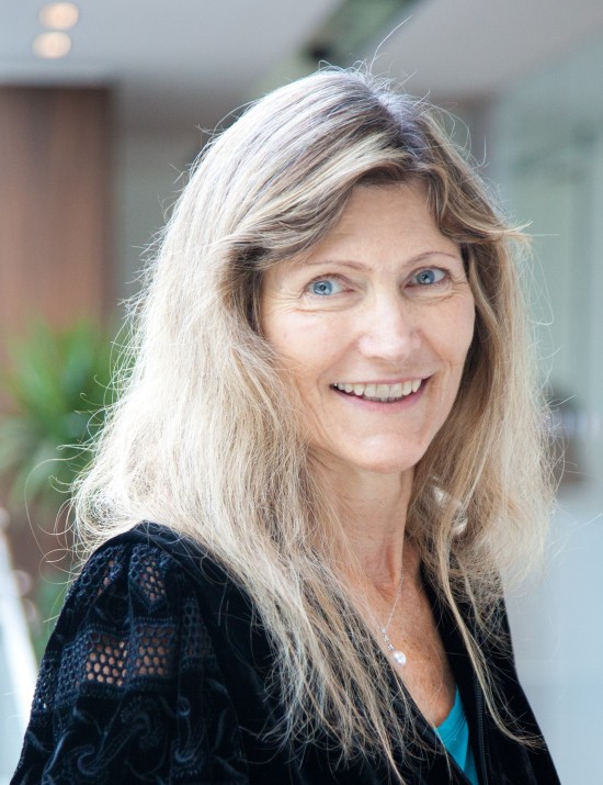 Dr. Ingeborg Hochmair