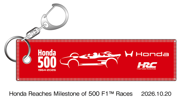 Flight tag keychain