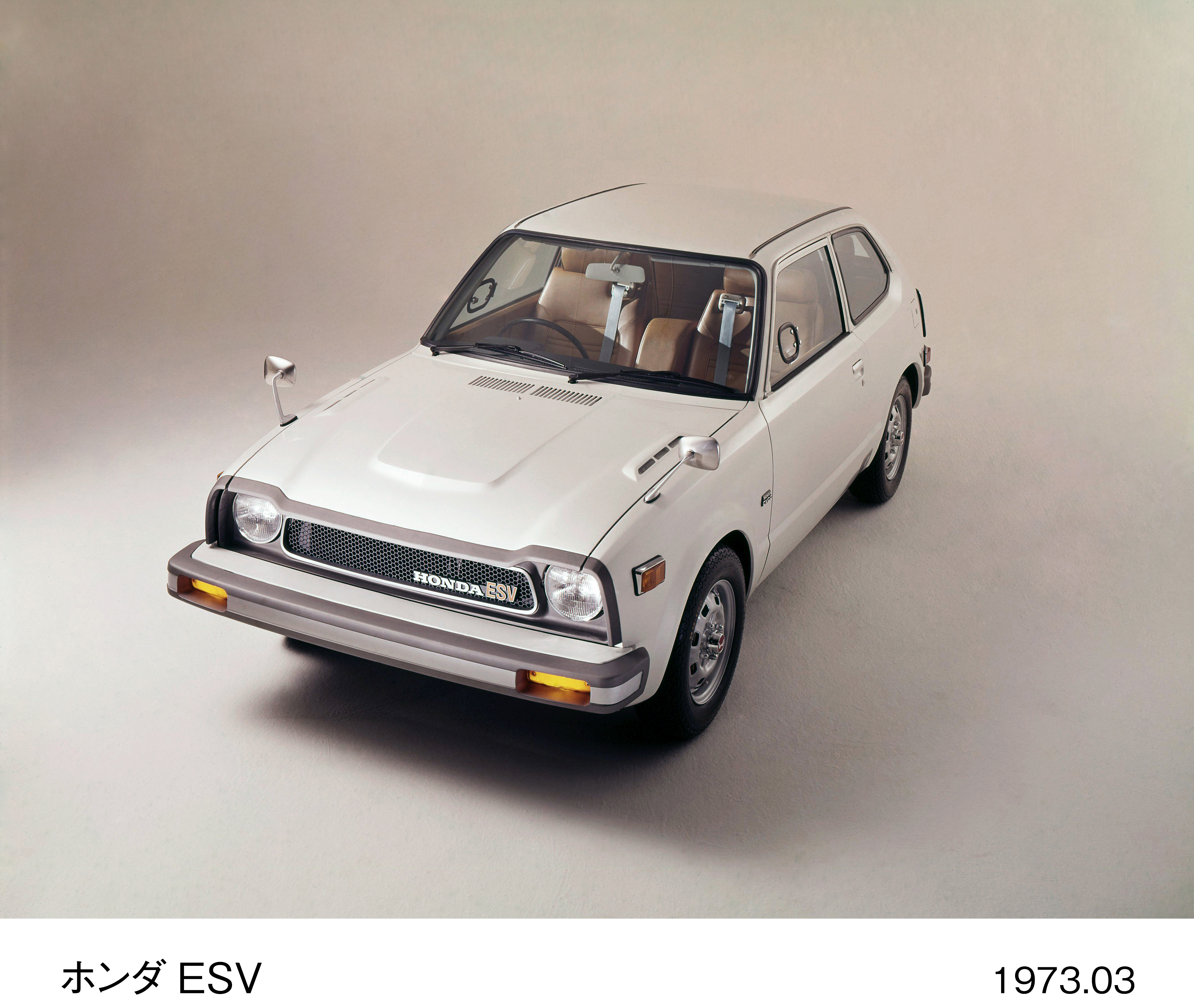 画像・動画ダウンロード