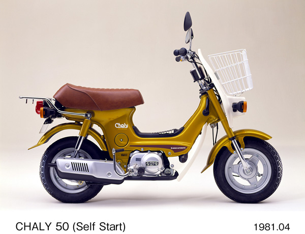 シャリイ50 (セル付)