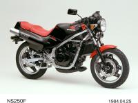 NS250F