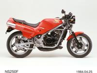 NS250F