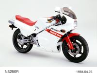 NS250R