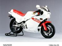 NS250R