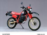 XLR250R