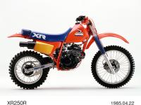 XR250R