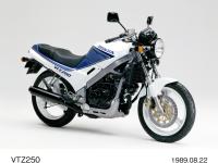 VTZ250