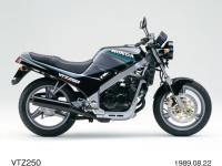 VTZ250