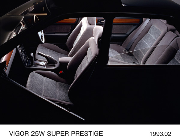 ビガー 25W スーパープレステージ 室内パッケージ