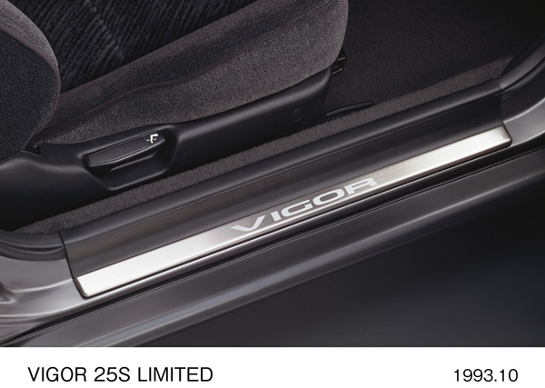 ステップガーニッシュ