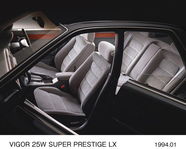 ビガー 25W スーパープレステージ LX 室内パッケージ