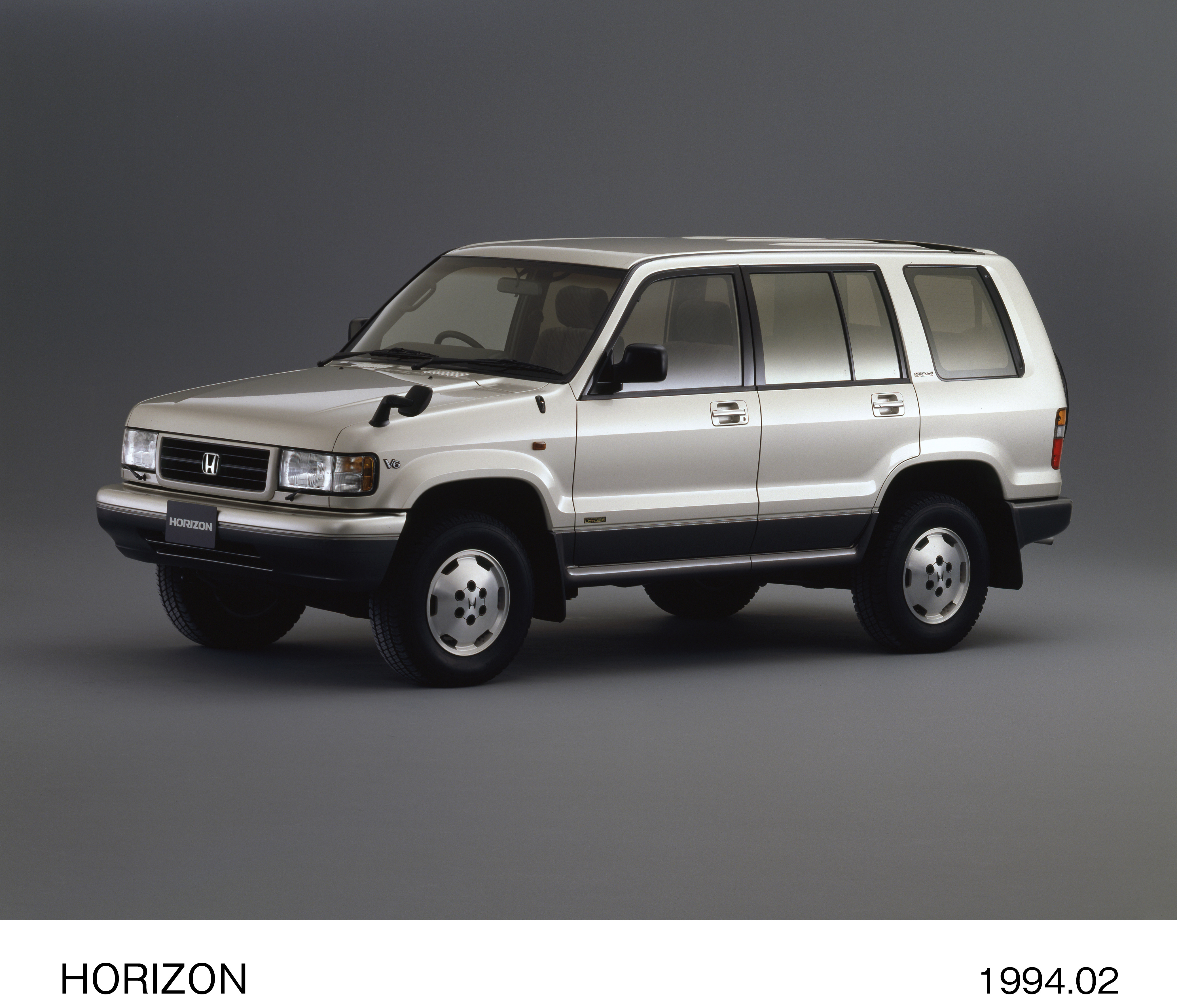 画像・動画ダウンロード