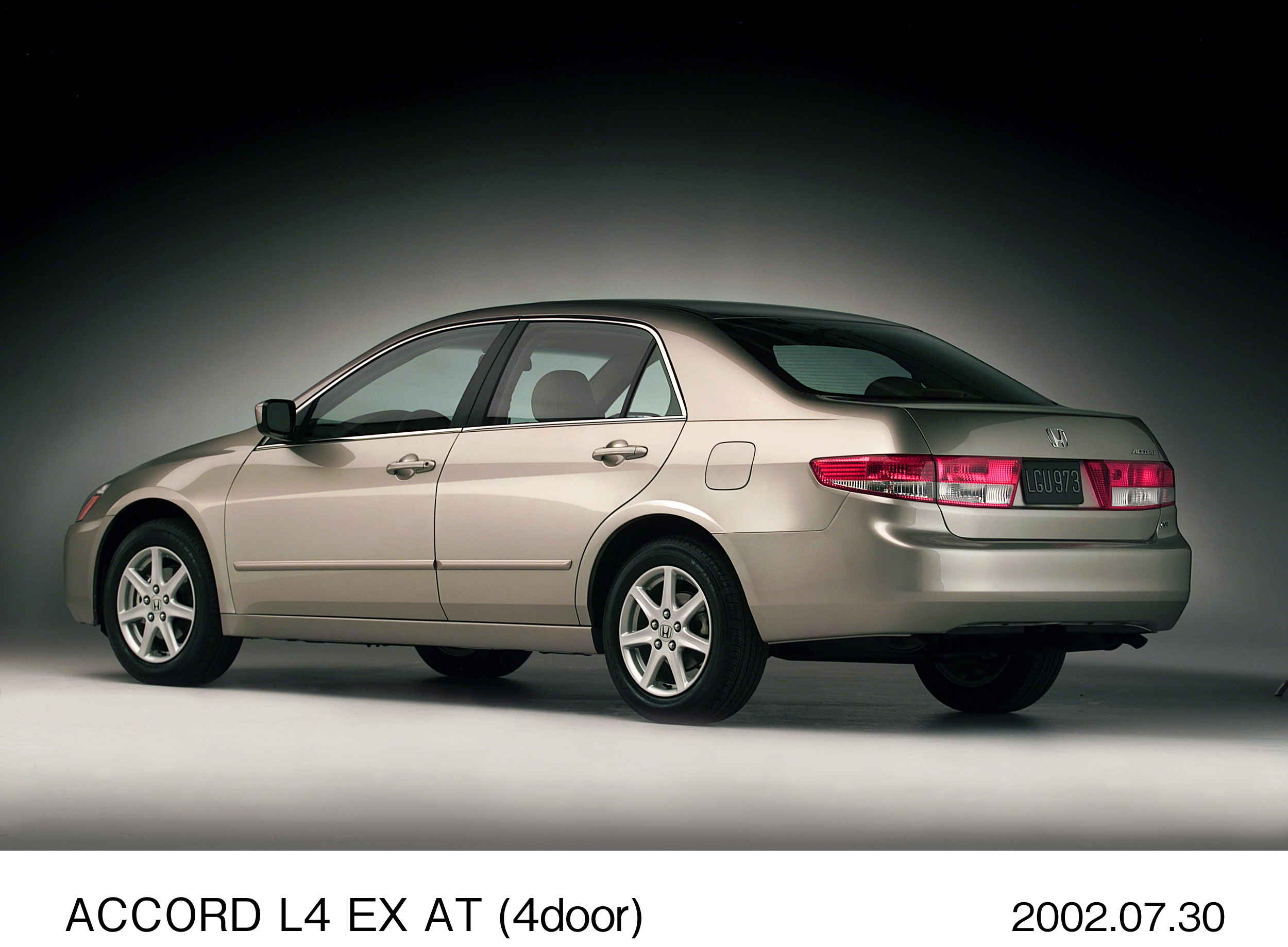 画像・動画ダウンロード