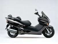 フォルツァ Type X カラーオーダープラン