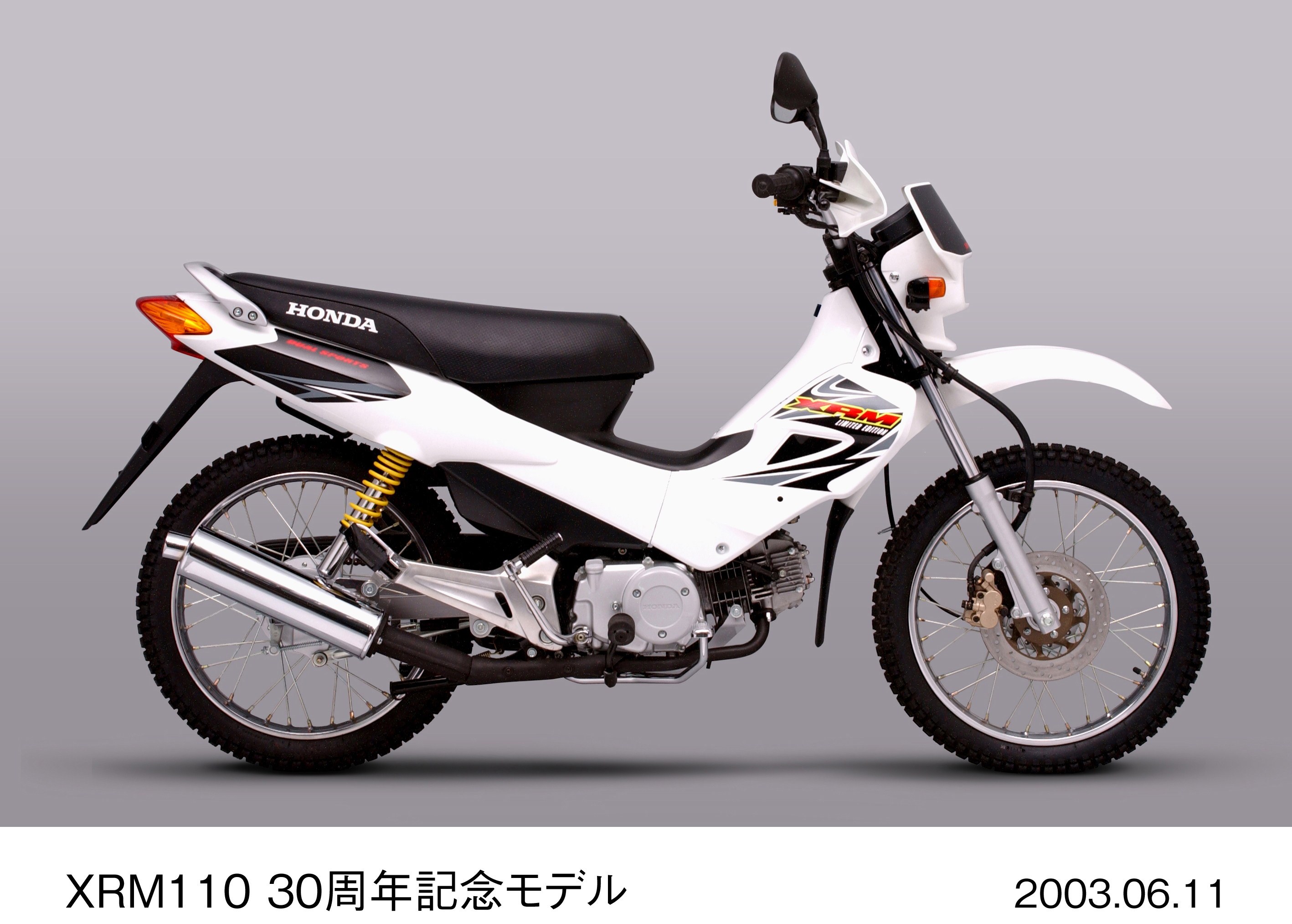 画像・動画ダウンロード