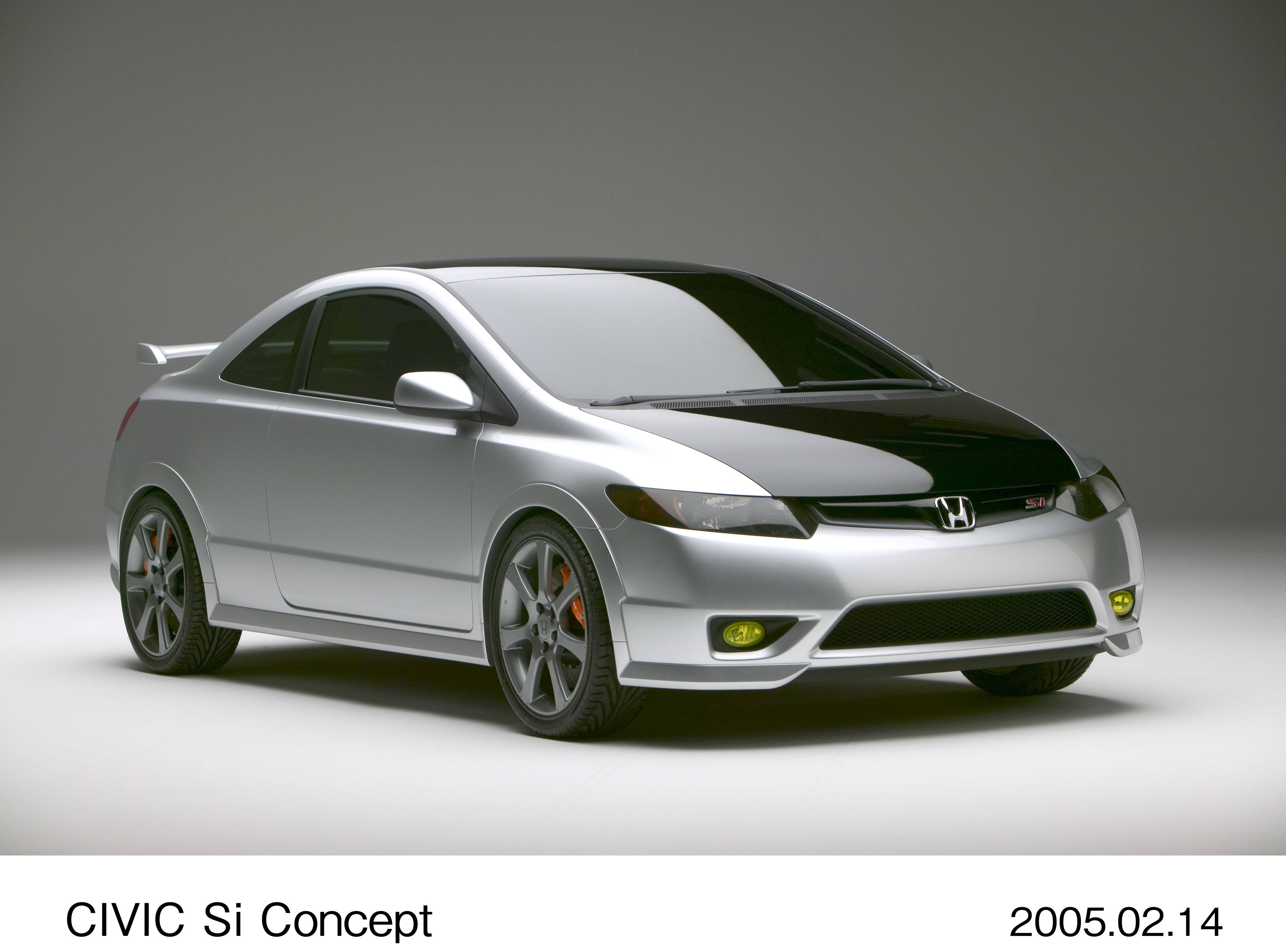 画像・動画ダウンロード