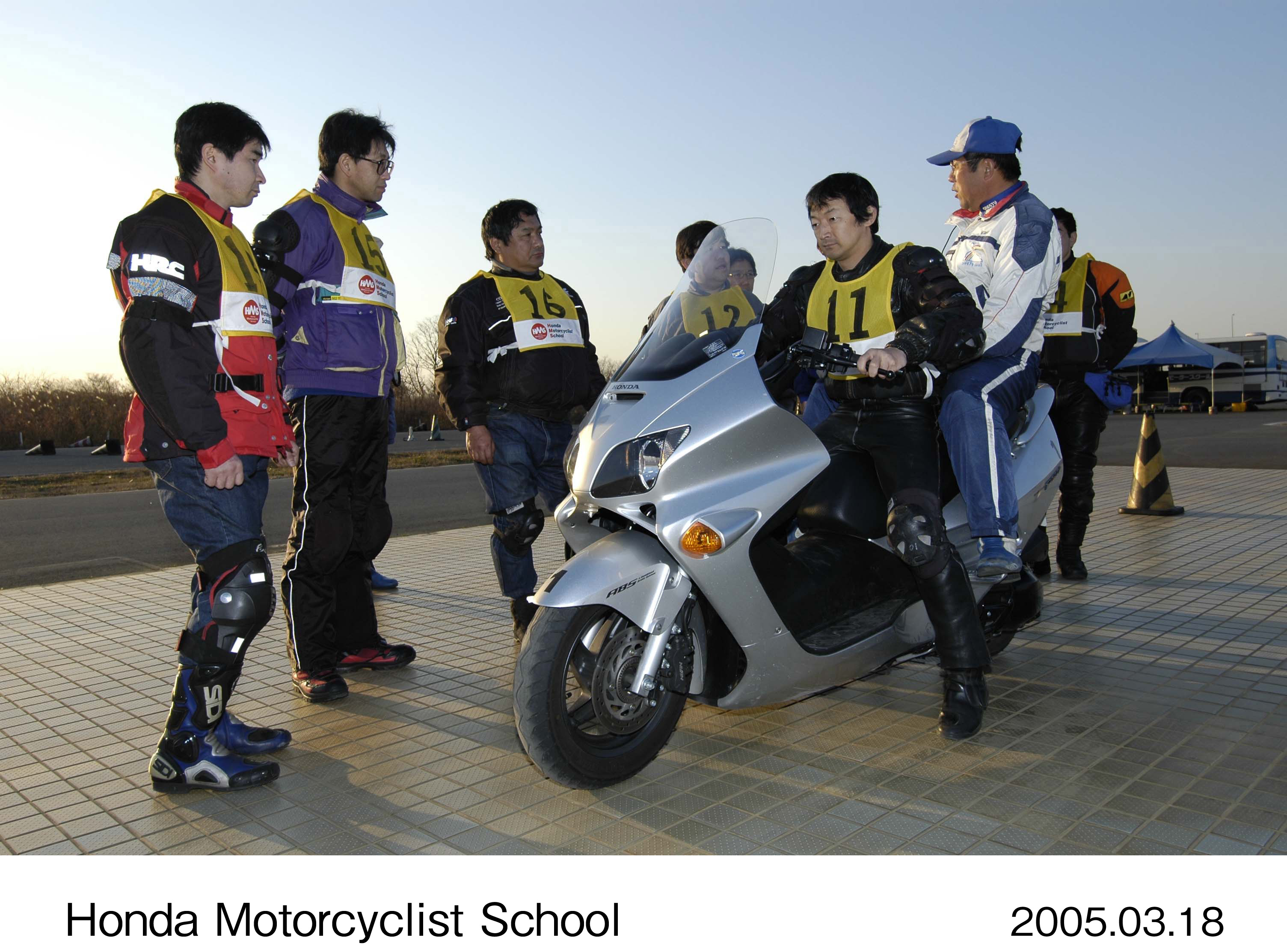 画像・動画ダウンロード