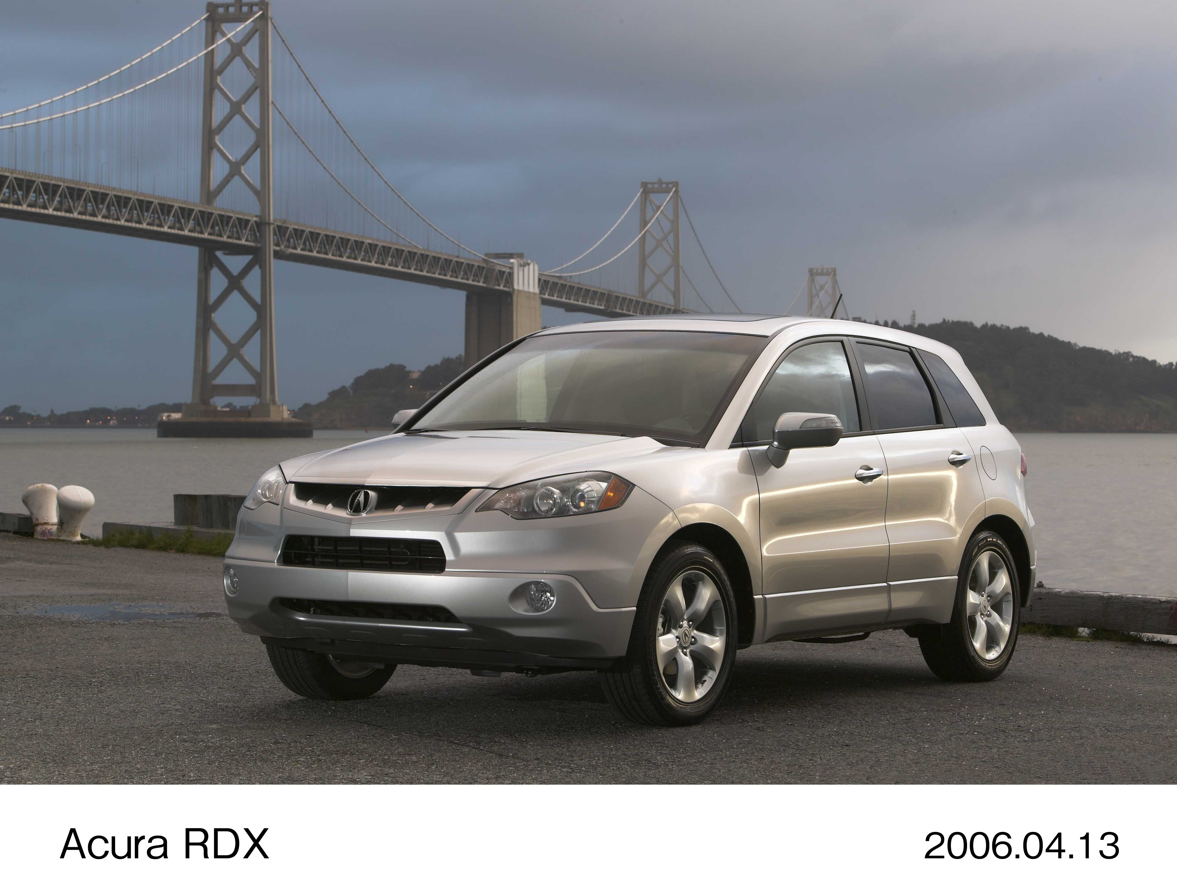 画像・動画ダウンロード