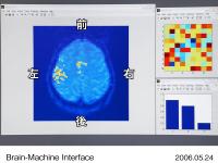 画像データをコンピュータ解析 脳の活動部位抽出(左)抽出された脳活動パターン(右上)動作の判定処理(右下)