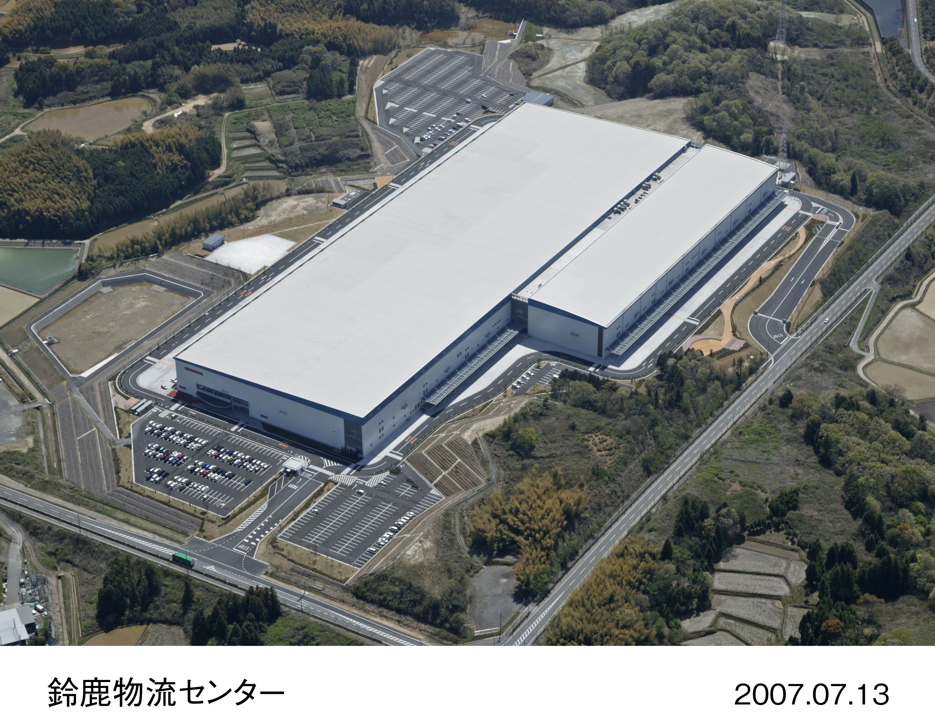 画像・動画ダウンロード