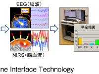 新開発のBMIを用いた実験の概要