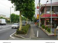 対策後：街路樹を剪定して見通しを確保 (国道254号 和光市)