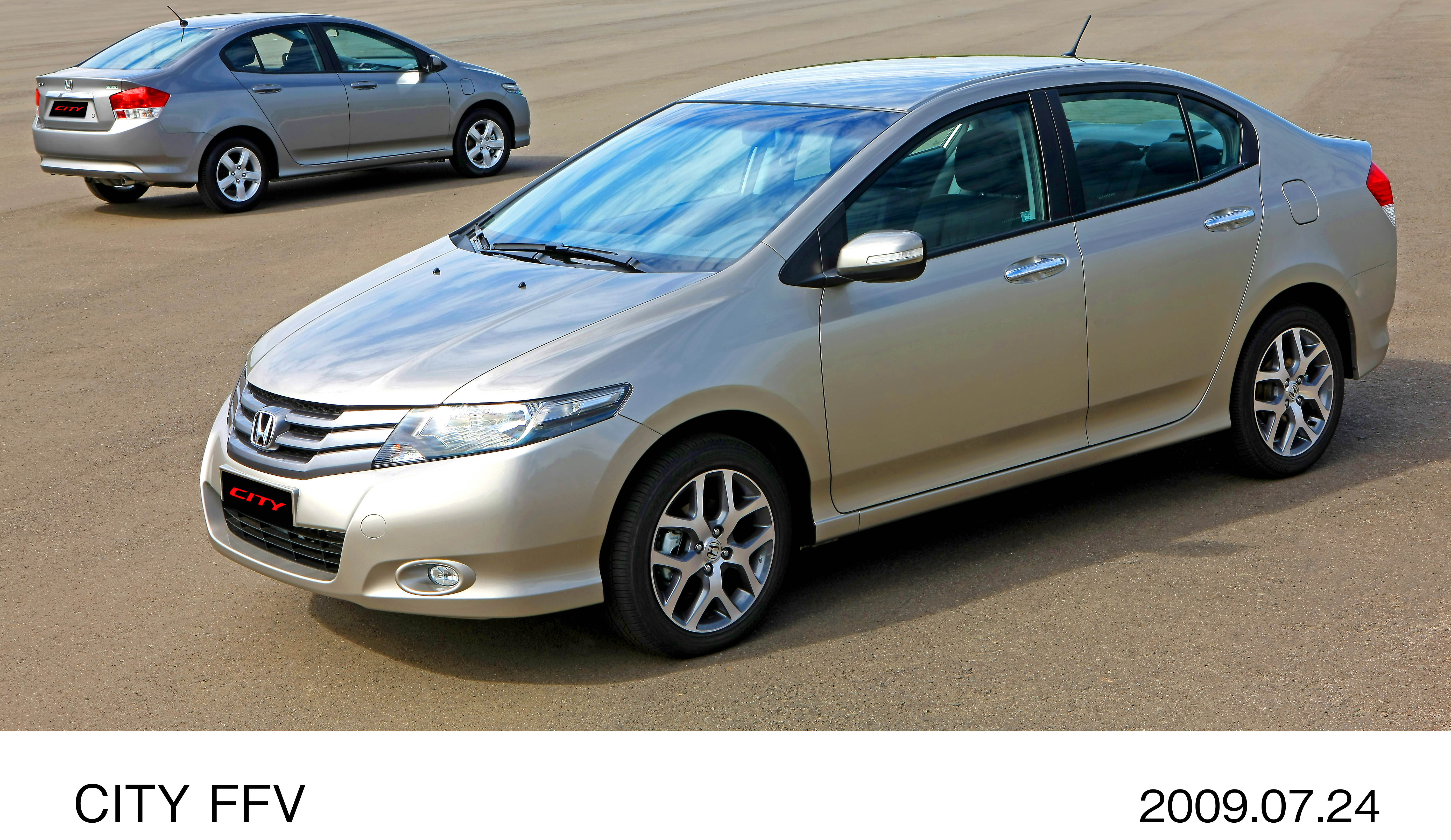 画像・動画ダウンロード