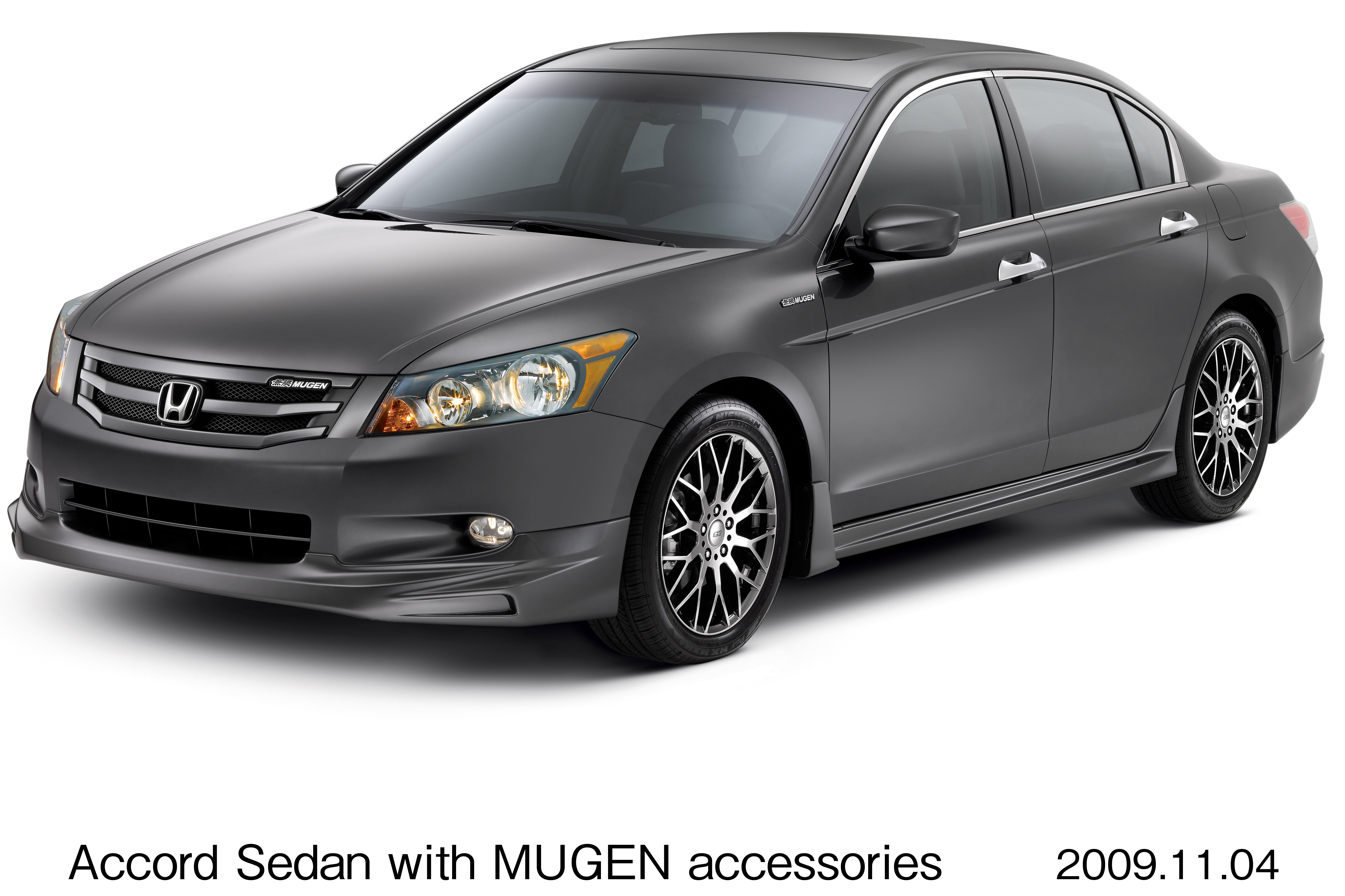 画像・動画ダウンロード